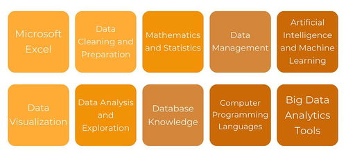 解鎖數據價值 掌握數據處理技術，夯實有效數據分析的基石