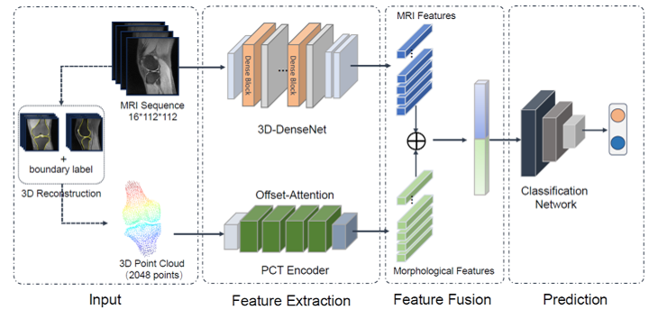 生物醫學影像處理中的數據處理技術 賦能精準醫療的核心引擎