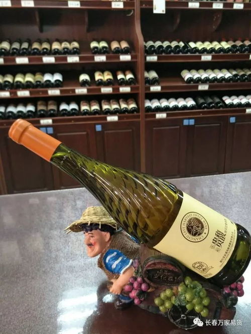 精品推薦 日常消費(fèi)類(lèi)